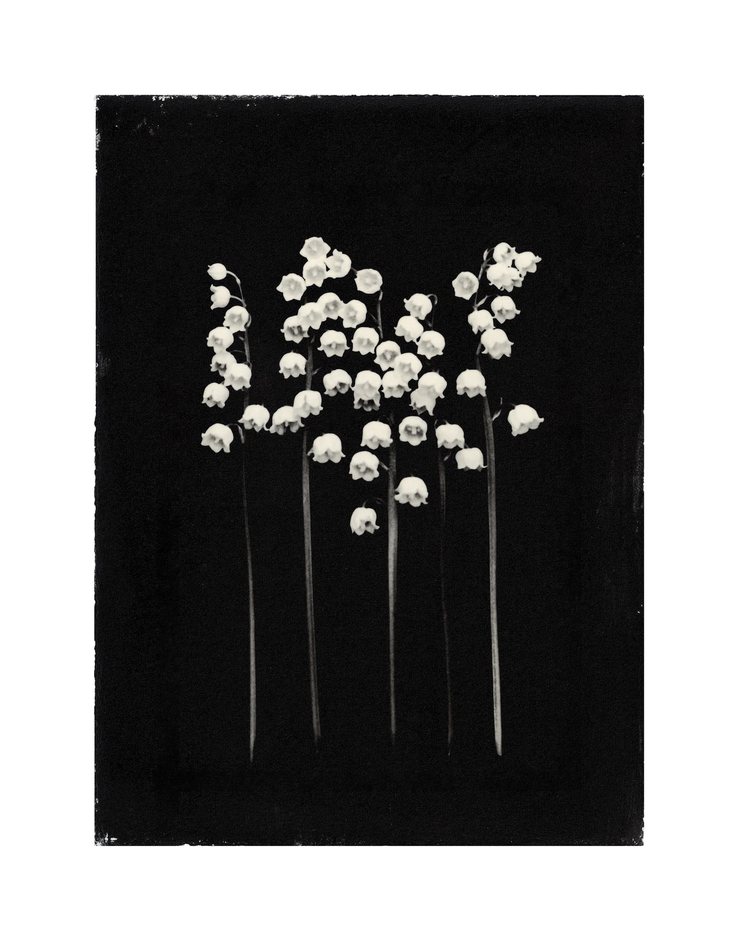 森田幸子　MORITA SACHIKOモノクロ靴のポスター 森田幸子 MORITA SACHIKOモノクロ靴のポスター 森田幸子